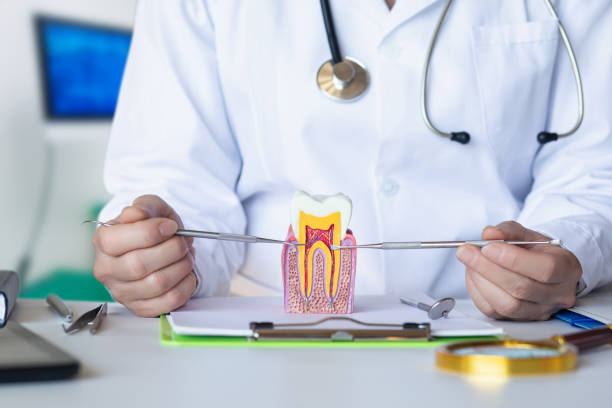 Best Pediatric Emergency Dentist in Clover Creek, WA